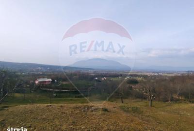 Teren de 3206 mp, în Remetea Chioarului - 6