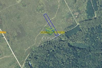 Teren de vanzare Padurea Baneasa 7.500 mp - 8