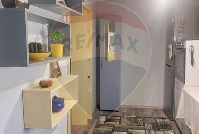 Casă individuală cu 4 camere cu Teren 3414 Mp în Comarna - 6