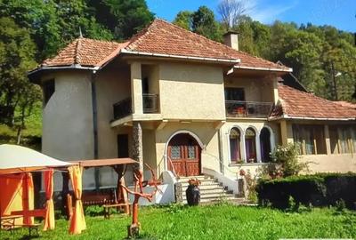 Vanzare casa in Abrud - 18