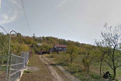 Spațiu comercial, în Bârnova - 2