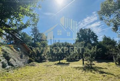 Teren de 3234 mp, în Lerești - 13