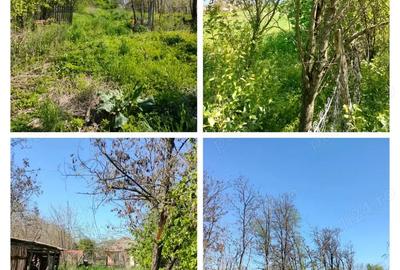 Casă cu 5 camere în Platonești - 5