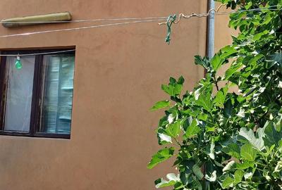 Casă cu Teren 270 Mp în Rahova - 2