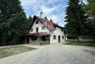 Pensiune/ Vila Valea Avrigului - 21