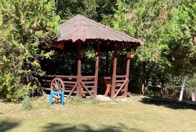 Vand 2 case (duplex) in Pitesti si 1875 mp teren - 3