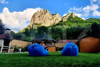 Casa de vacanta  pretabila pentru pensiune autorizata - 2