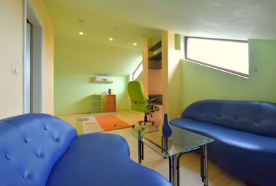 Casa cu garaj - zona Aradului - 18