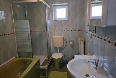 Proprietate mixta de vanzare in Nadlac Casa moderna + hala/grajd + teren mare - 20