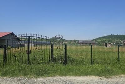 Teren 536mp Cercu - 4