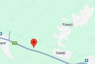 Casă cu 5 camere cu Teren 200000 Mp în Șerel - 4