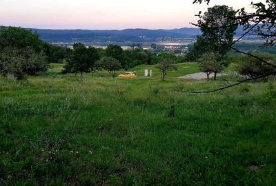 Spațiu comercial, în Troian - 4