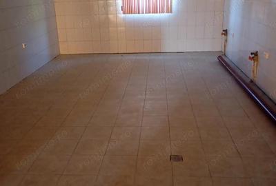 Spațiu comercial, de 400 mp, în Topleț - 4