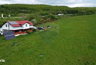 Casă cu 4 camere în Topa Mică - 2