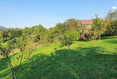 Teren pentru investitie sau casa de vacanta , Pestera , Brasov - 8