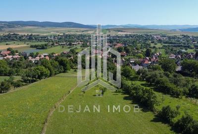 Teren Intravilan | 7.850 mp | Turia - 6