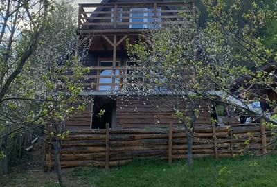 Casă cu Teren 2000 Mp în Central - 3