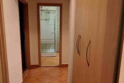 Apartament cu 3 camere decomandat în Arcu - 11