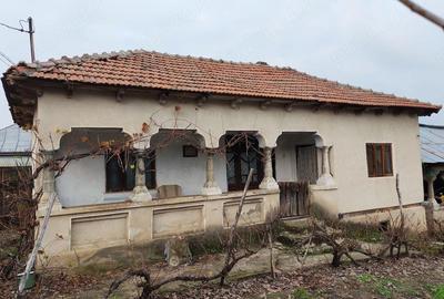 Casă cu 3 camere cu Teren 3200 Mp în Sutești - 2