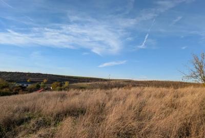 Teren de 1835 mp, în Pielești - 3