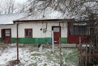 Casă cu 3 camere cu Teren 1600 Mp în Central - 3