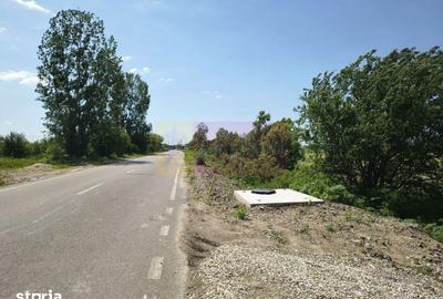 Teren de 1167 mp, în Cernica - 13