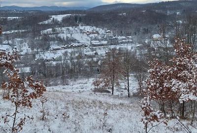 Vand teren intravilan Mustesti (com. Gurahont) - 7