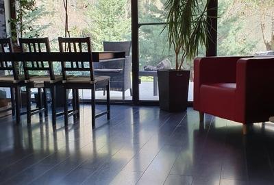 Vila Baneasa la liziera padurii, zona Liceul Francez, Sector 1, Bucuresti - 15