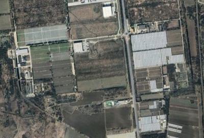 Teren de 400000 mp, în Almăj - 1
