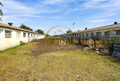 Calarasi Teren intravilan cu potential de investitie 62000mp - 9