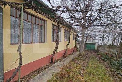 Casa individuala 3 camere, teren 2200 mp, garaj, terasa, pivnita, Pianu de Sus - 2
