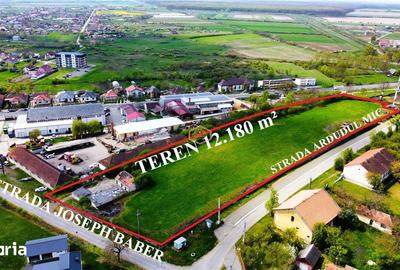 Teren de 12180 mp, în Burdea - 8