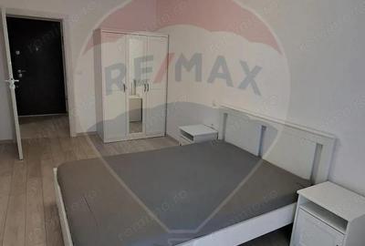 Apartament cu 2 camere de inchiriat in zona Libertatii Tg Mures - 12