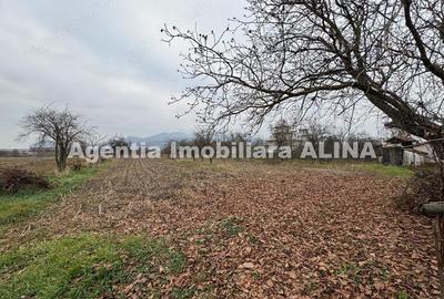 Casa si teren 3.851mp in Satul Soimus din Comuna Soimus, Jud. Hunedoara. - 9