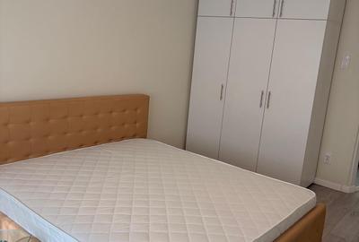 Garsonieră decomandată în Dristor - 2