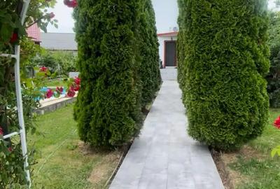 Proprietar, vand casa cu piscina - 7