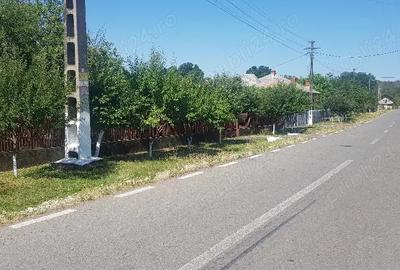 Casă cu 5 camere în Lunca