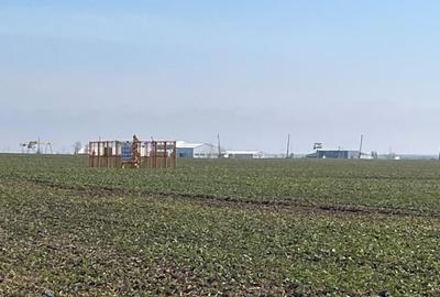 Teren Construcții intravilan de 5000 mp, în Exterior Est - 1