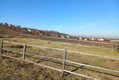 Teren de 735 mp, în Săucești - 1