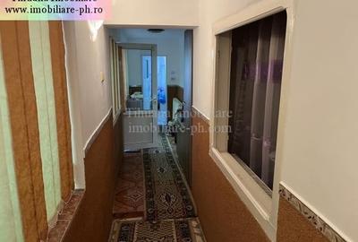 Tihuana Imobiliare:casa de vanzare-Buna Vestire - 15