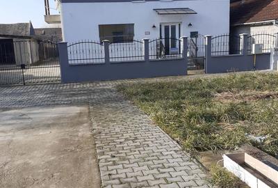 Casa si curte la Jimbolia - 10