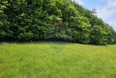 Teren agricol extravilan de 7000 mp, în Ilișești - 29