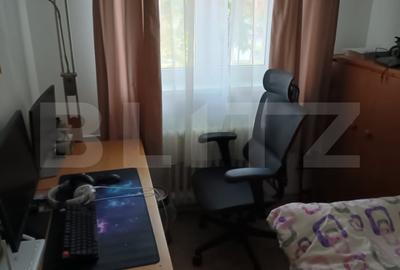 Apartament semidecomandat, cu 2 camere, 29 mp, zona Albac - 4