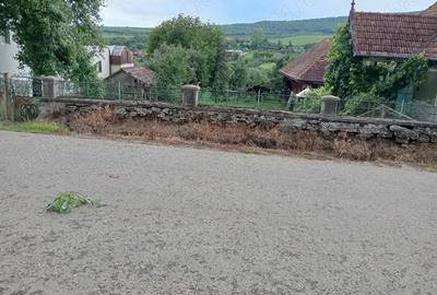 Vand casa la ?ara, teren ?i anexe, com Tureni, sat Mice?ti, jud Cluj - 4