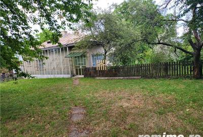 Casa Orheienilor! - 2