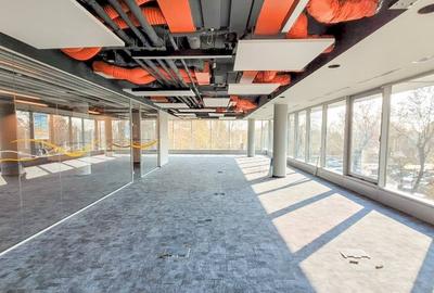 Bucharest Business Park, Presei Libere, 250 - 4167 mp  0% comision! Bucharest Business Park, Presei Libere, 250 - 4167 mp  0% comision! - 2