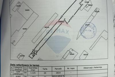 Casă cu 4 camere cu Teren 13000 Mp în Țifești - 11