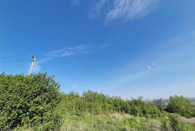 Teren intravilan de 593 mp, în Tomești - 3