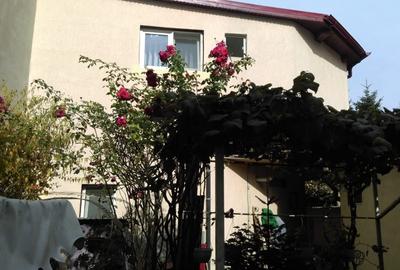 Casă individuală cu 10 camere cu Canalizare în Mihai Bravu