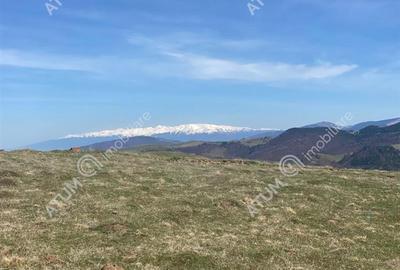 Teren intravilan de 3000 mp cu utiltati si PUZ in Paltinis Judet Sibiu - 2